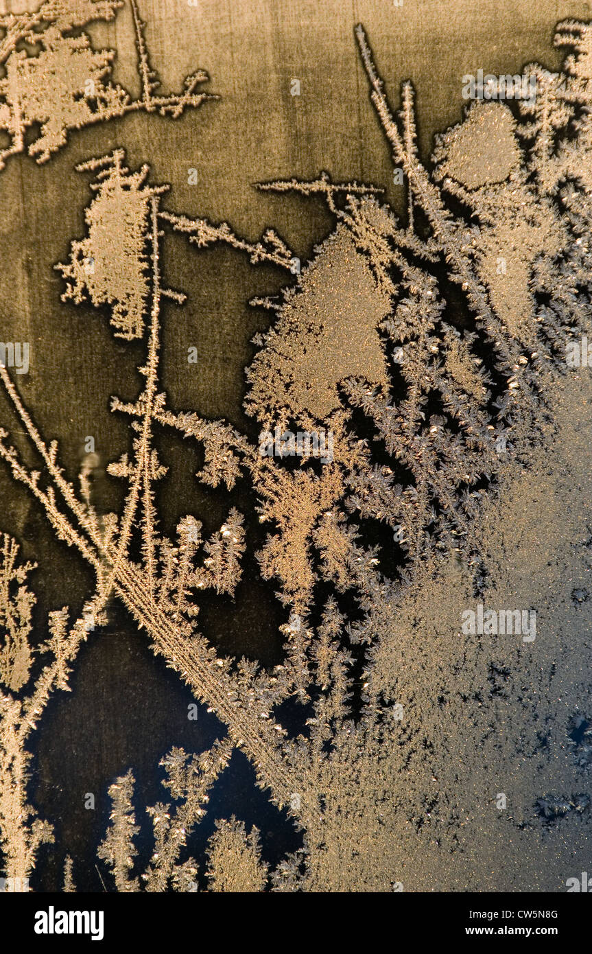 Frost patterns on a window in Berlin Stock Photo - Alamy