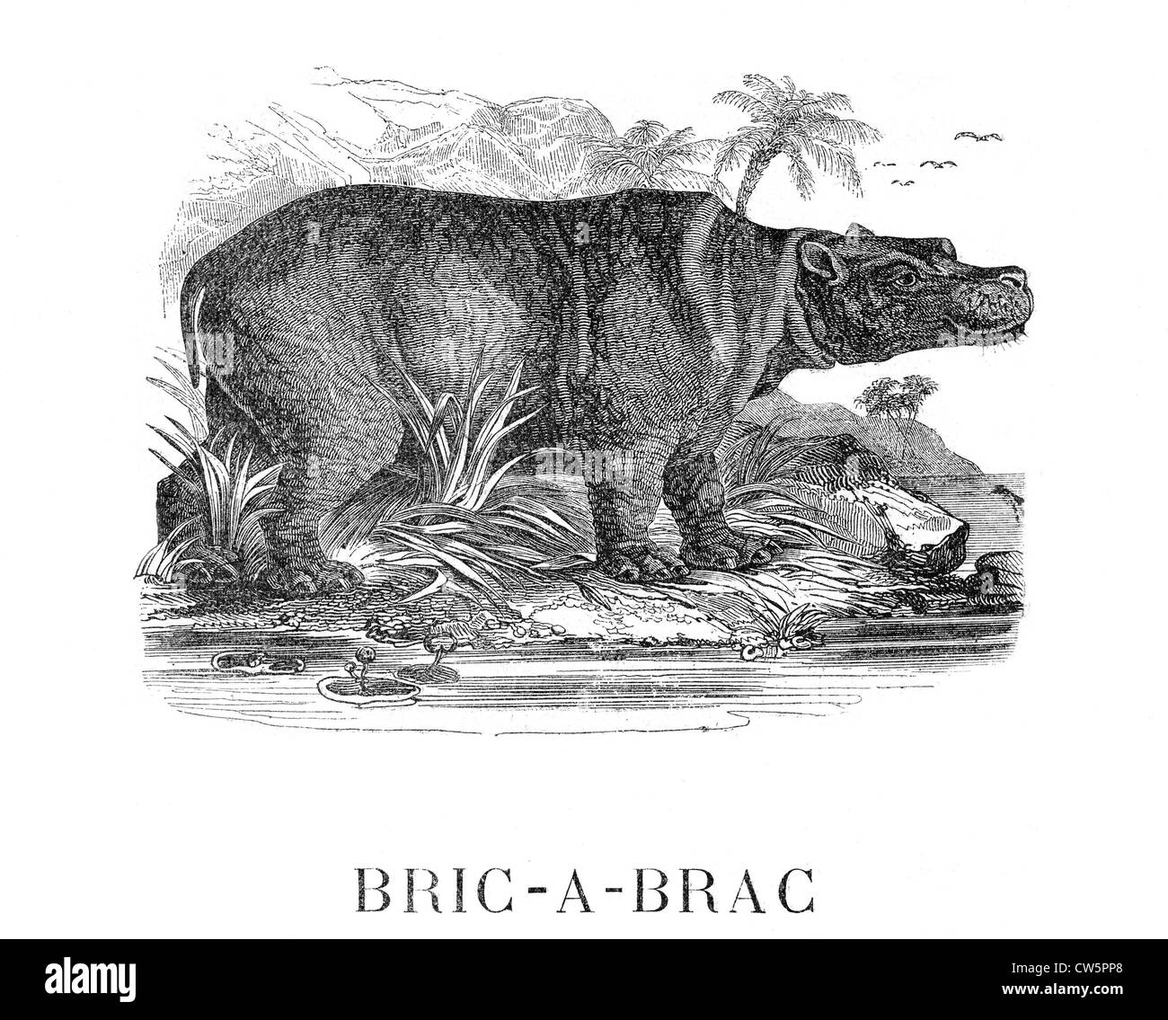 Dumas, 'Bric-à-Brac' Stock Photo