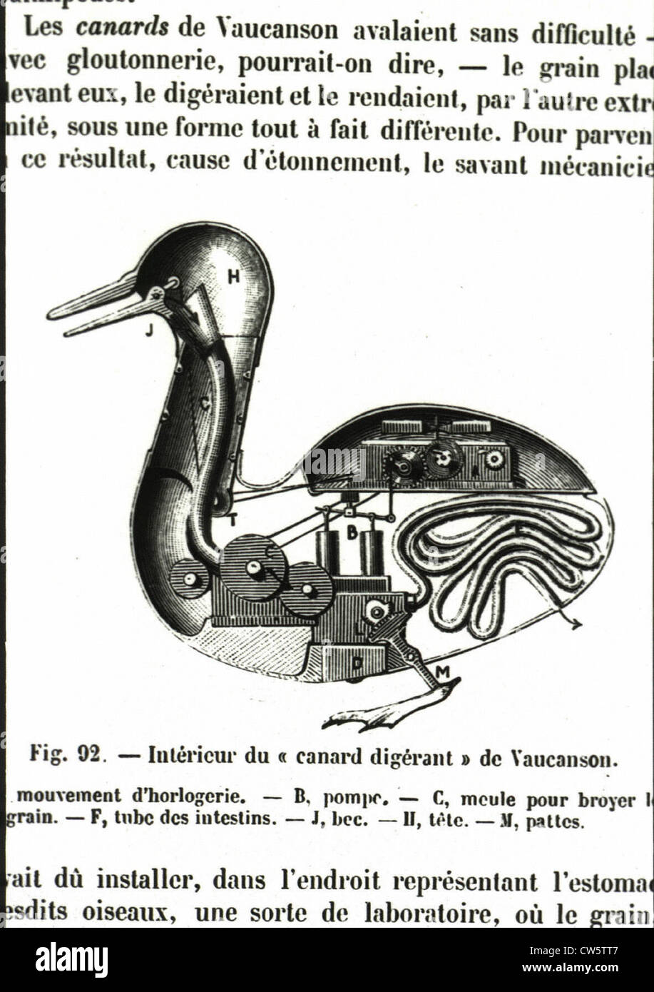 Interior of Vaucanson's digesting duck Stock Photo