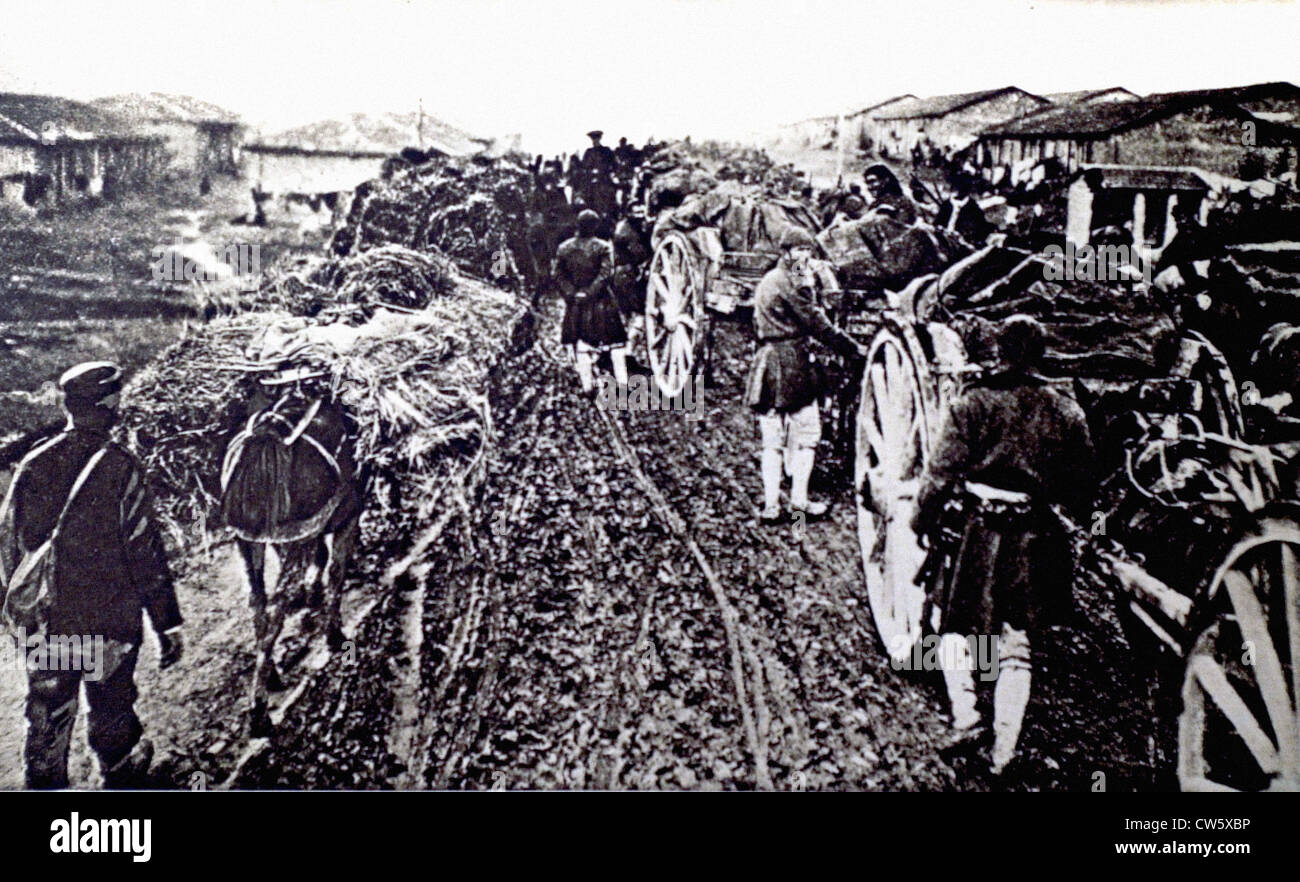 World War I. Greek troops retreating from Thessalonika (1916) Stock Photo