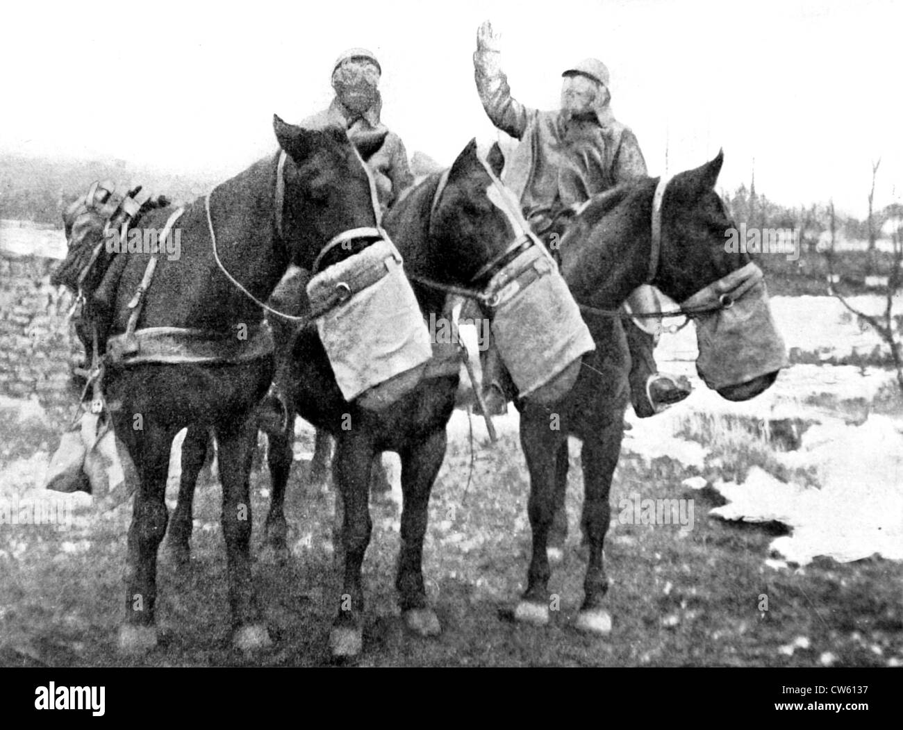 World War I. During a poison gas attack, horses like men, wear gas masks (1917) Stock Photo