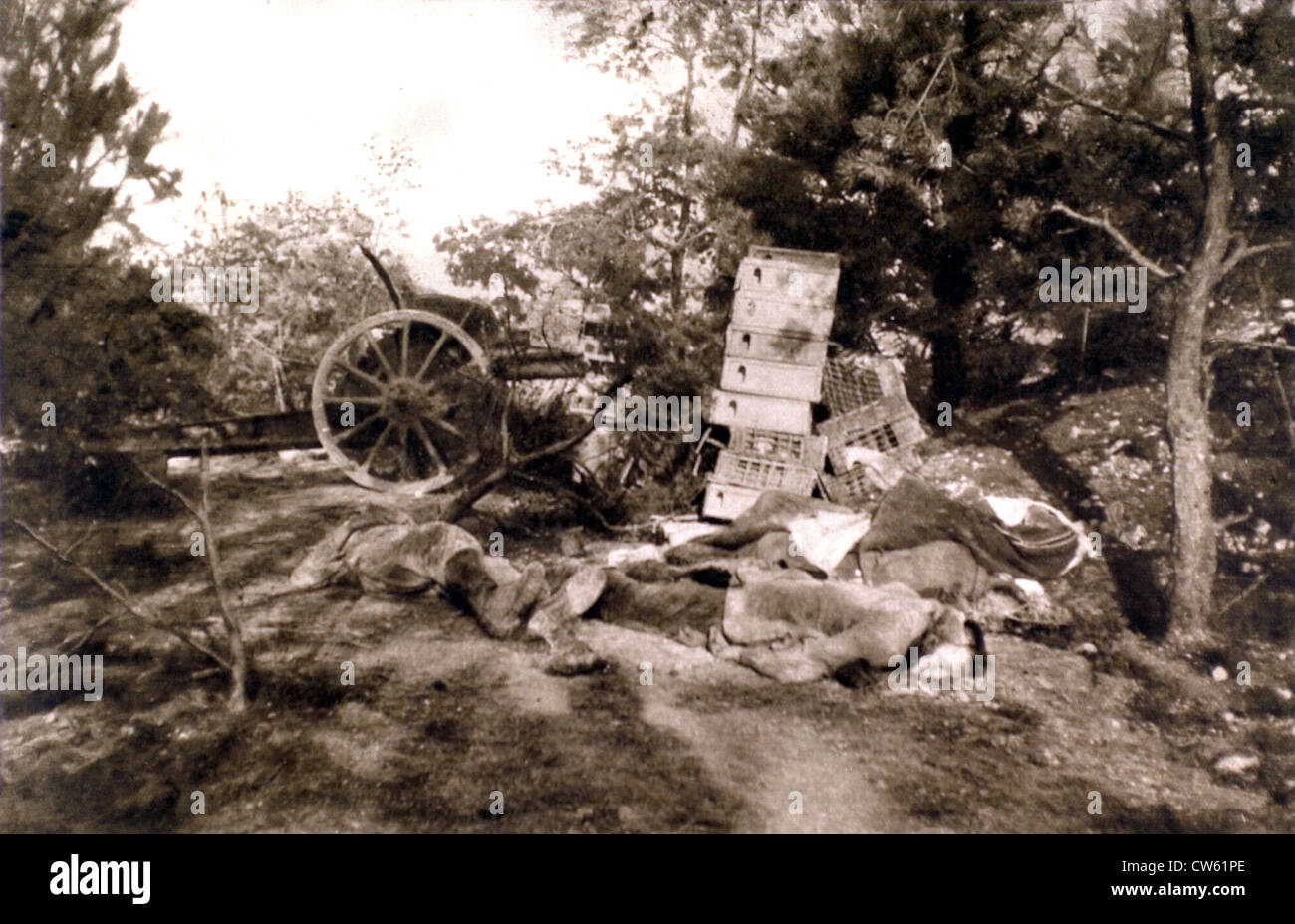 German artillerymen killed in action, during the battles north of Verdun (December 15-18, 1916) Stock Photo