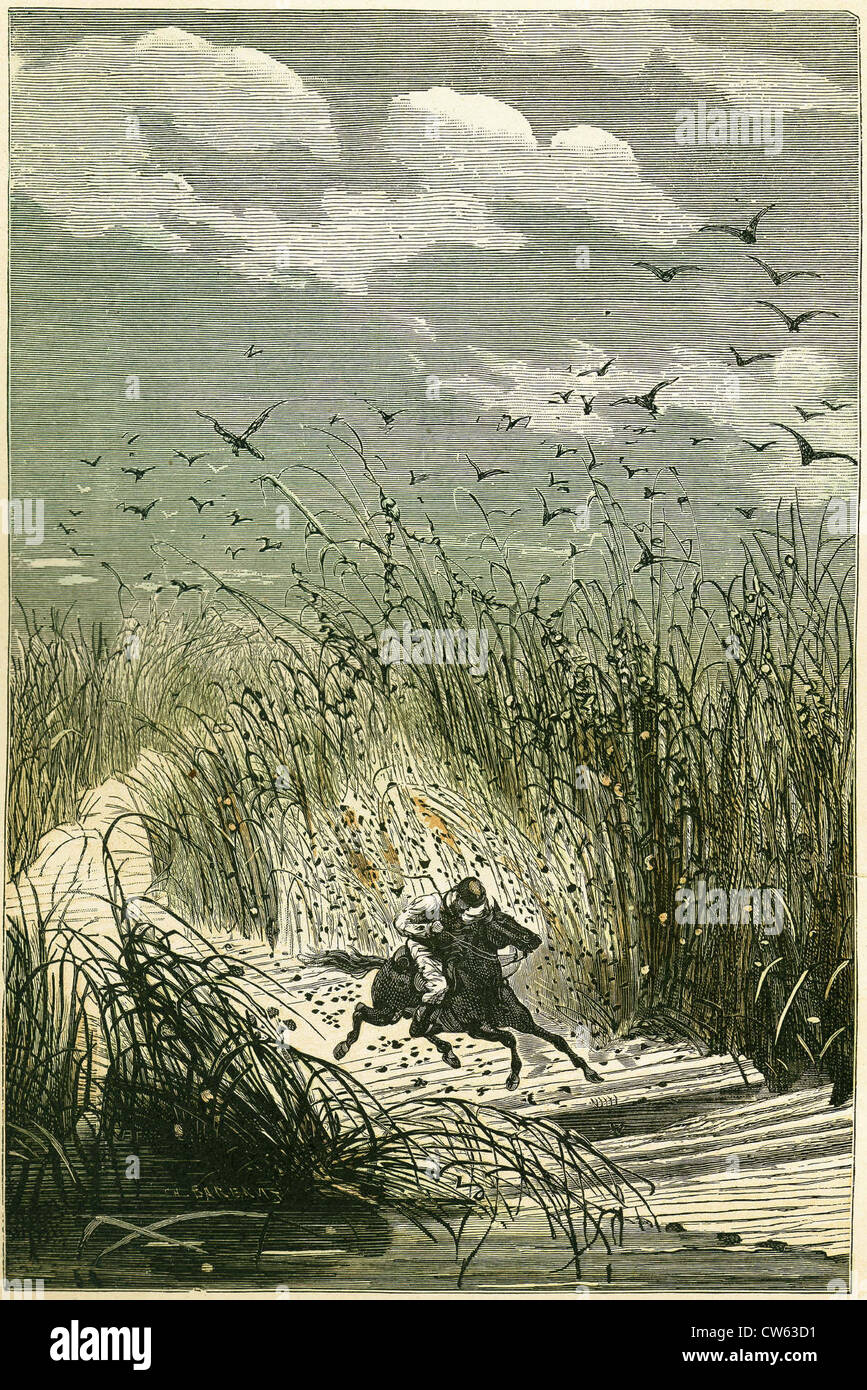Jules Verne, 'Michael Strogoff. From Moscow to Irkutsk' (illustration) Stock Photo