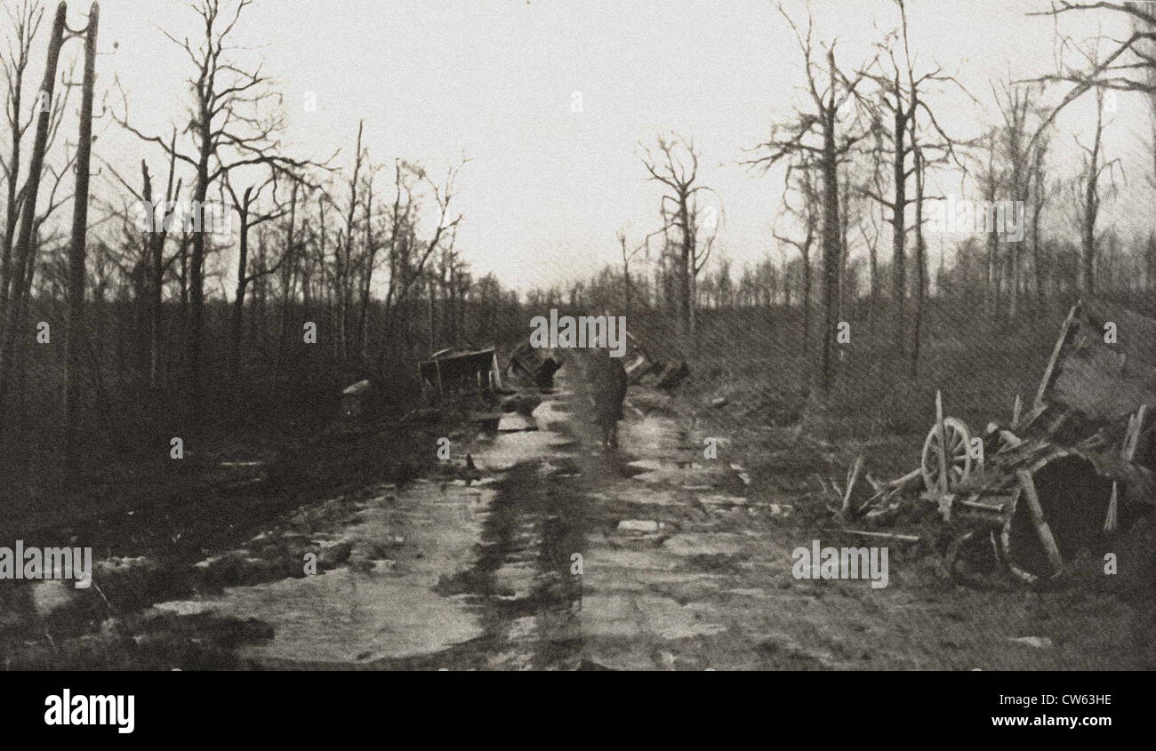 Road damaged during the Battle of Verdun Stock Photo Alamy