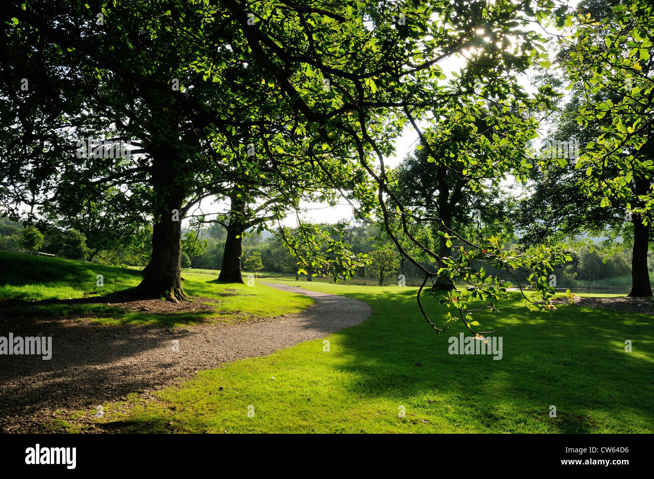 Footpath through parkland in summer near Keswick in the English Lake District Stock Photo