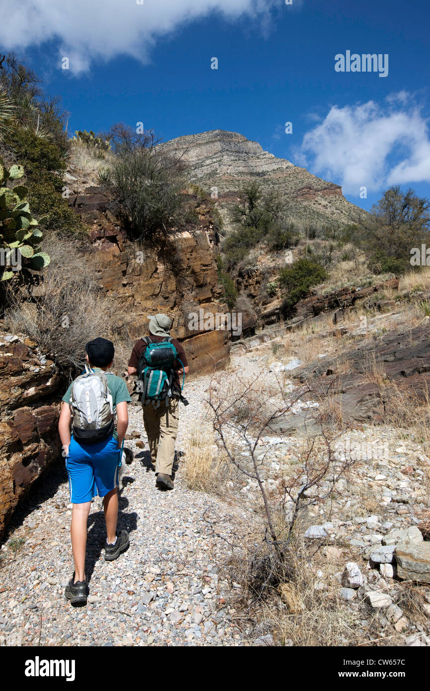 Hikers explore the Whetstone Mountains, Southeastern Arizona Stock Photo