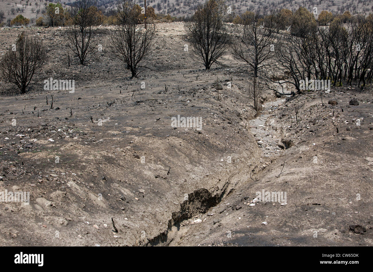 Flood erosion hi-res stock photography and images - Alamy