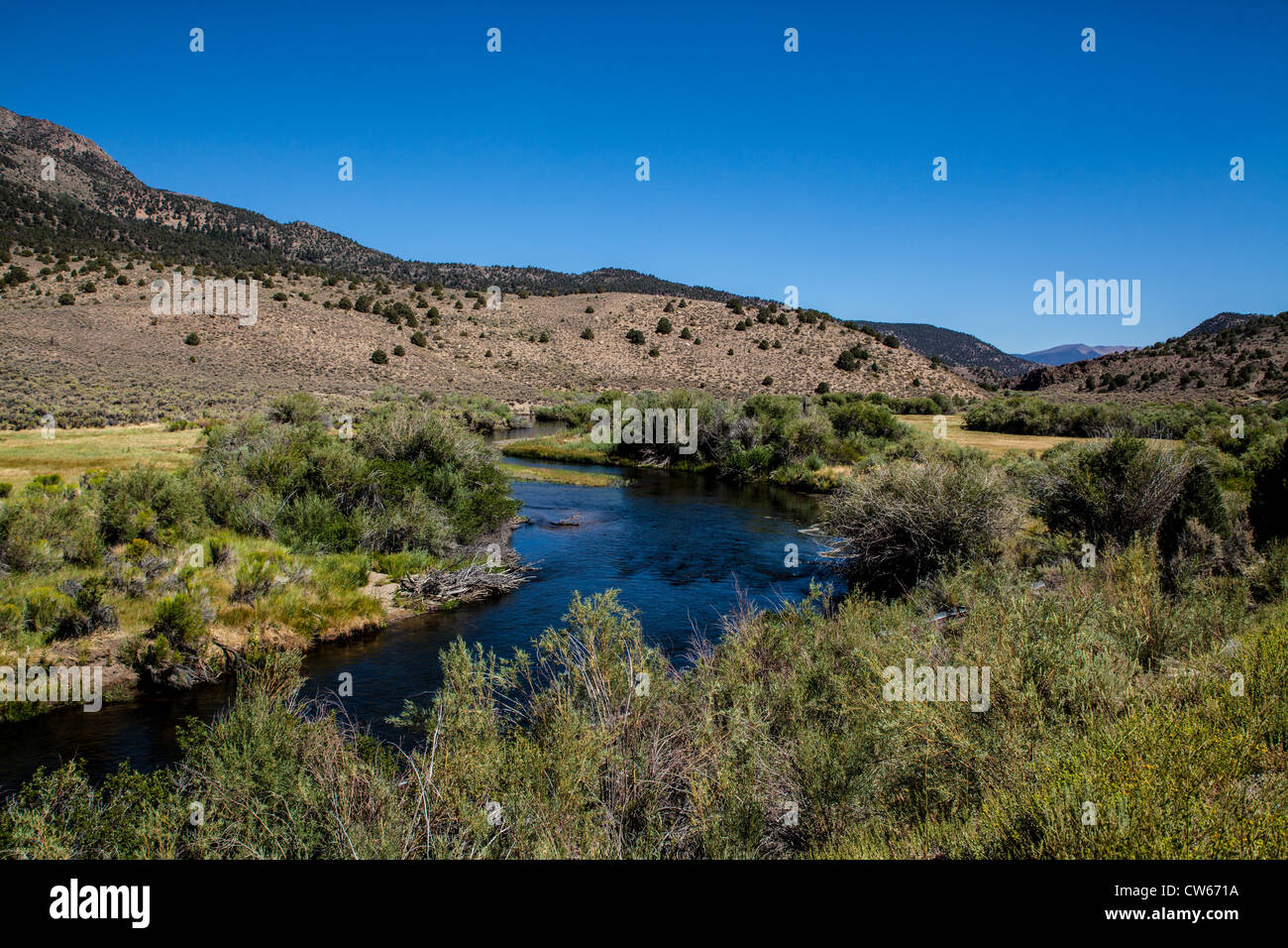 Walker River Bridgeport Ca