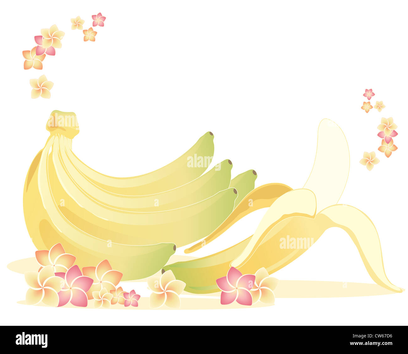 an illustration of a bunch of bananas and one banana ready to eat with