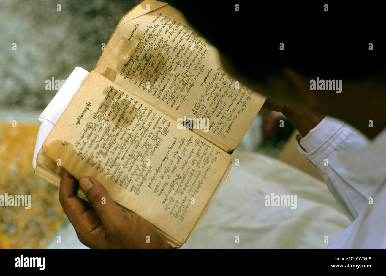 reading buddhistic scripture, Burma Stock Photo
