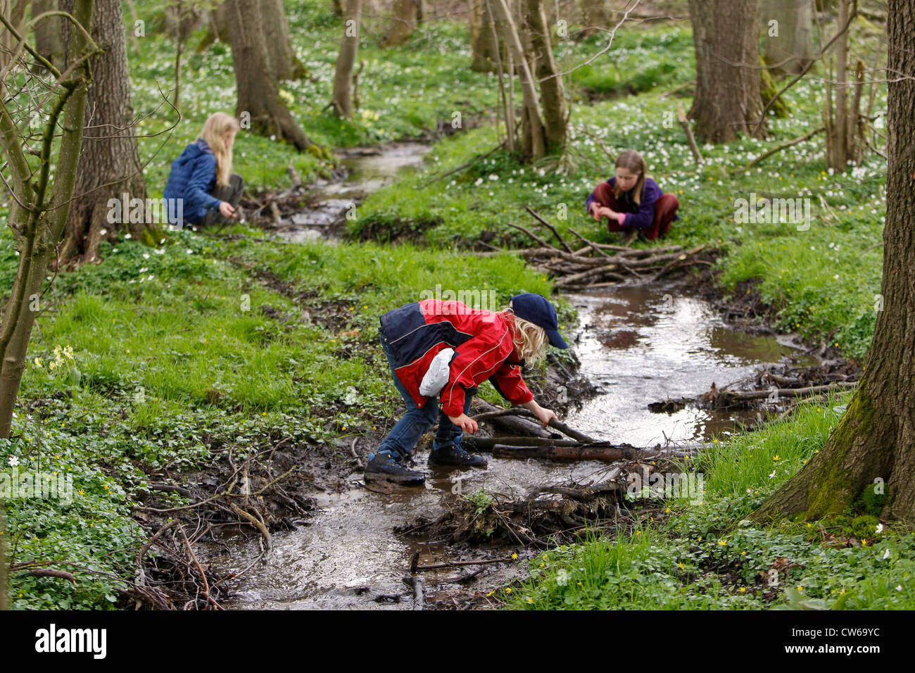 children building a barrage with branches at a creek Stock Photo