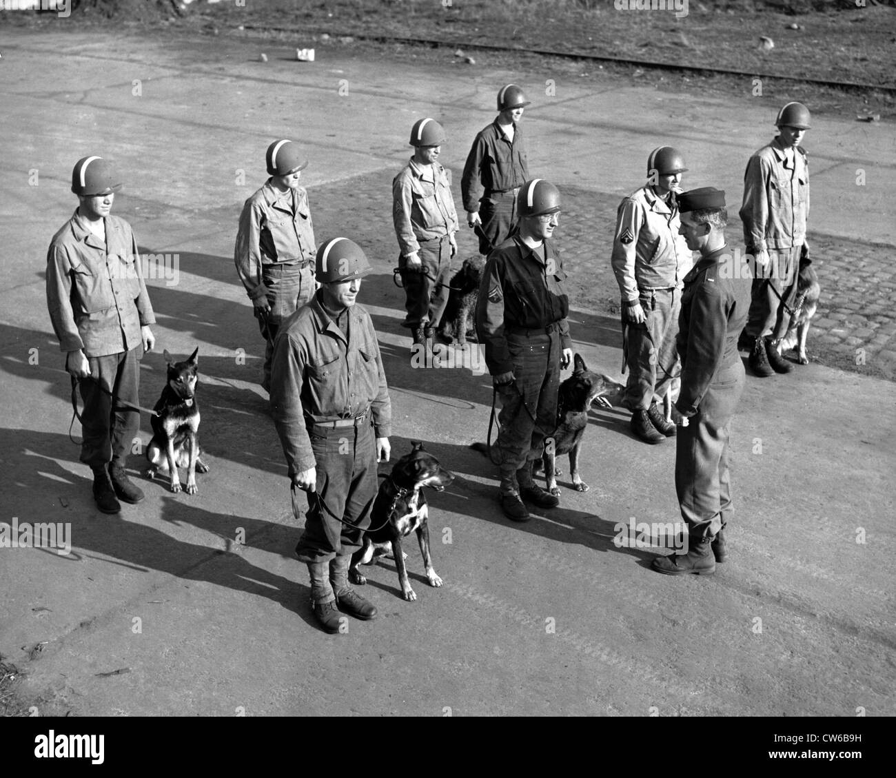 U.S. Army War Dog platoon in Belgium (March 25, 1945) Stock Photo
