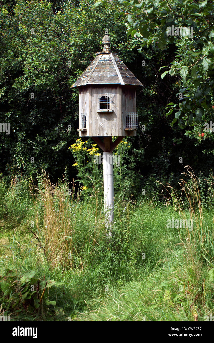 PIGEON COOP Stock Photo Alamy