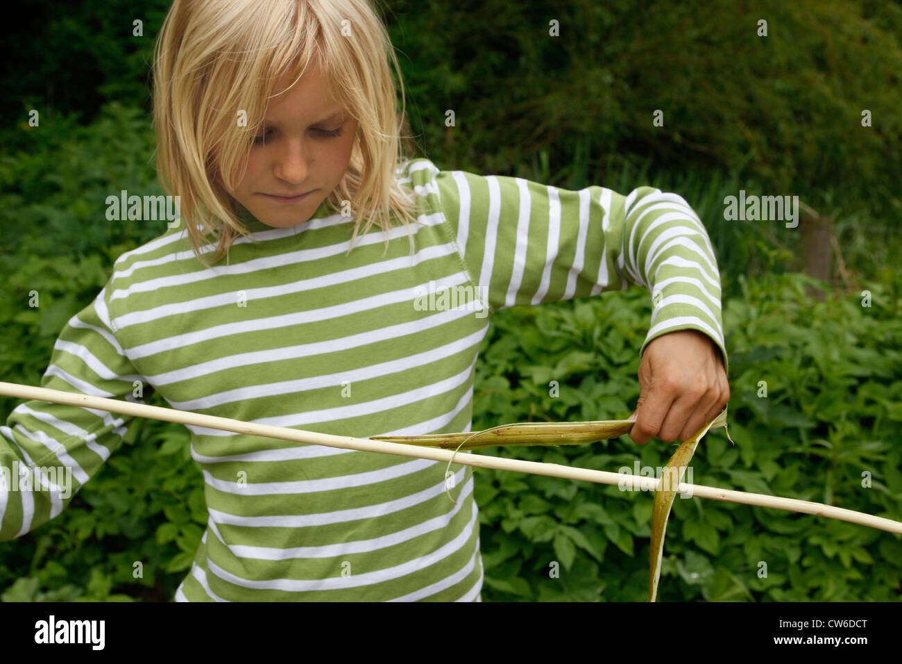 children tinkering an apple dryer, a child is pulling the bark from a willow twig, Germany Stock Photo