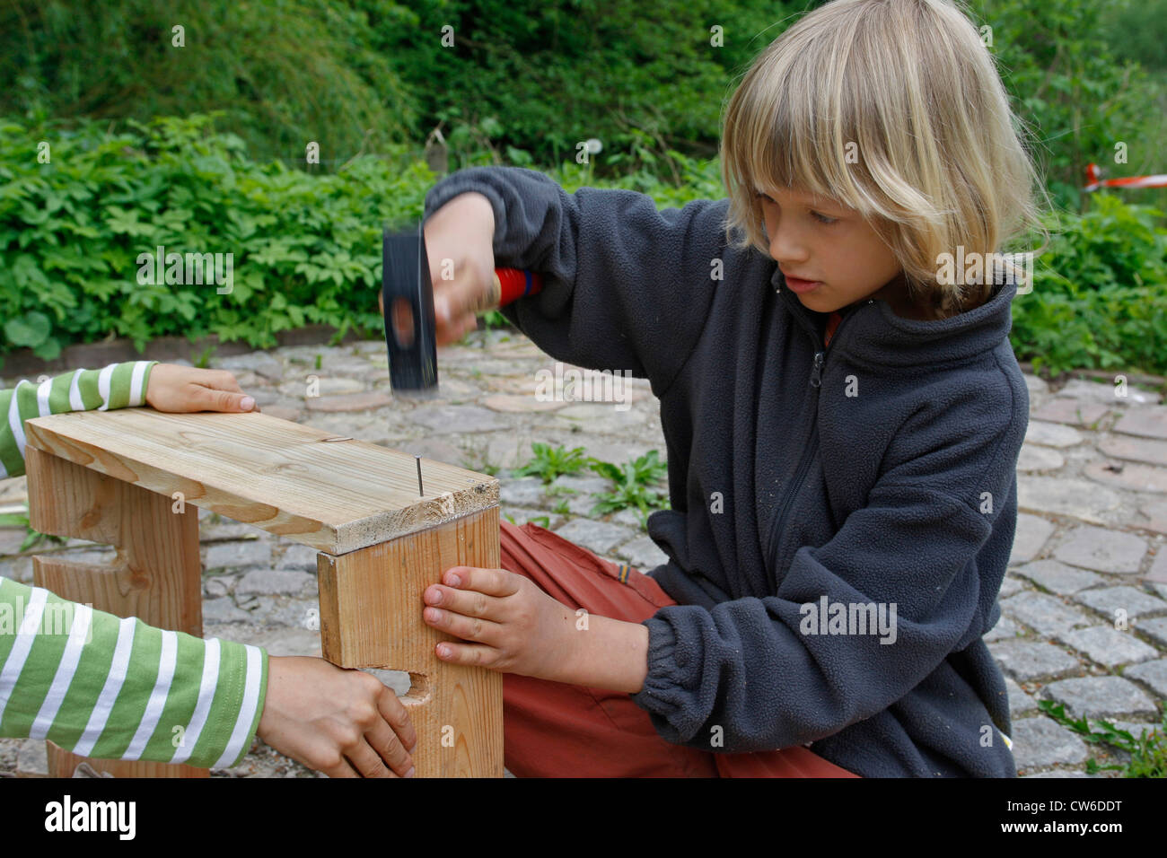 children are making an apple dehydrator; child is nailing side parts together, Germany Stock Photo