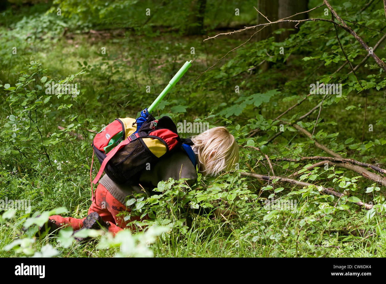 child crawling on the ground, looking for small animals in the forest ...