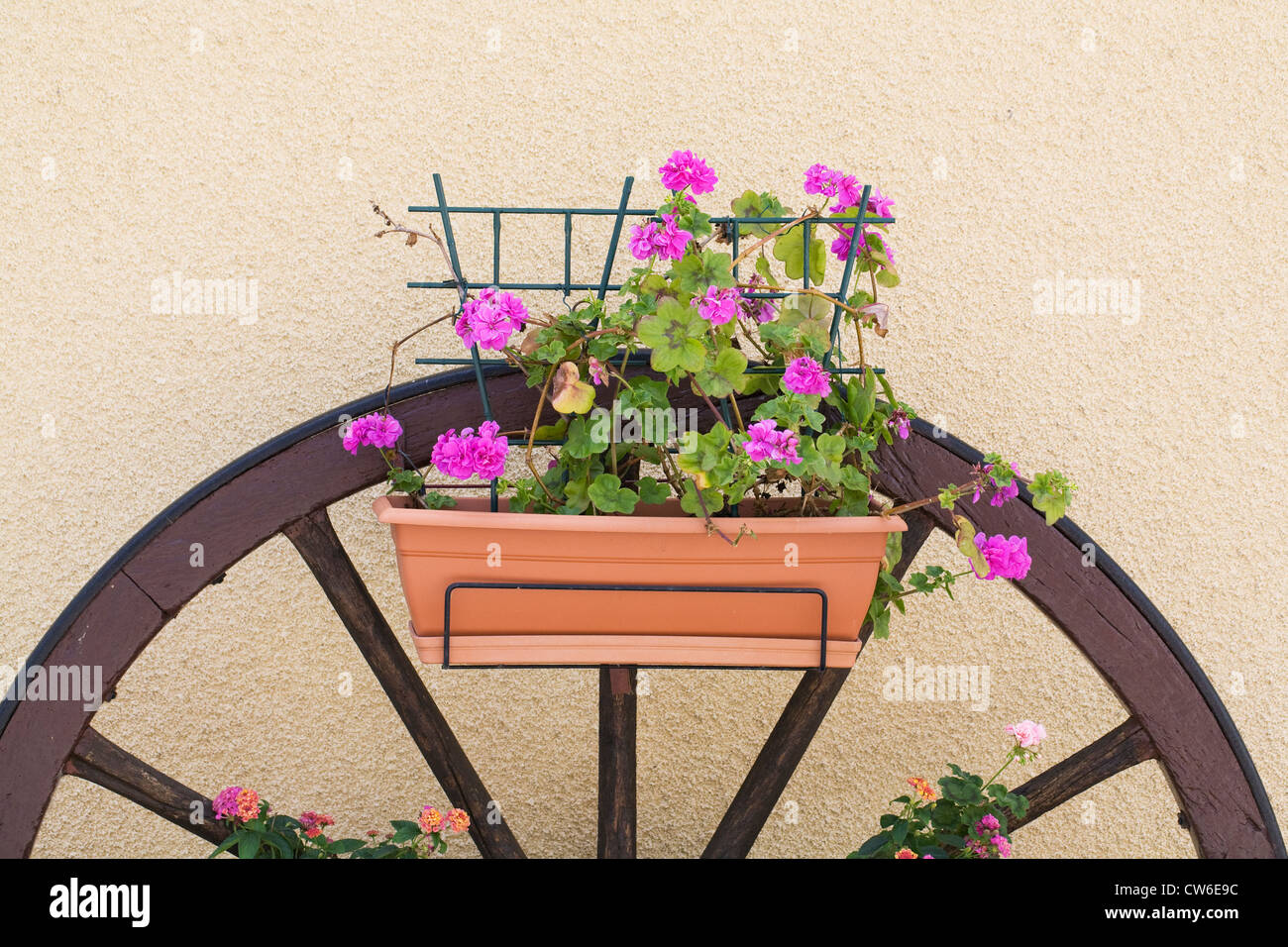 Floral display on an old cartwheel in a French village. Stock Photo