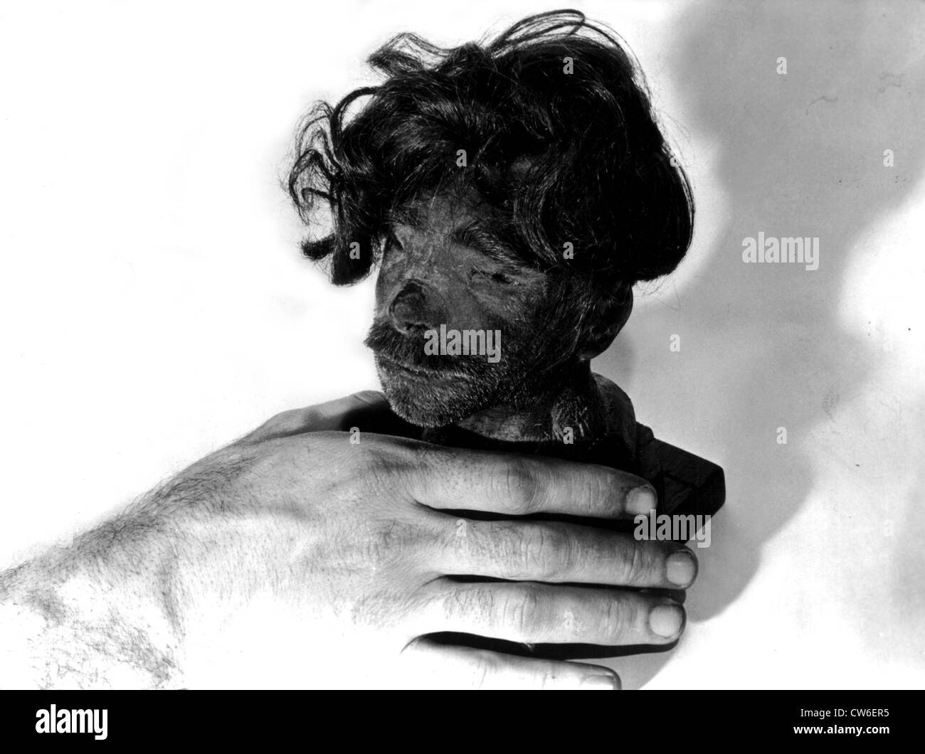 Shrunken head as evidence at war crimes trials in Nuremberg, 1945 Stock Photo