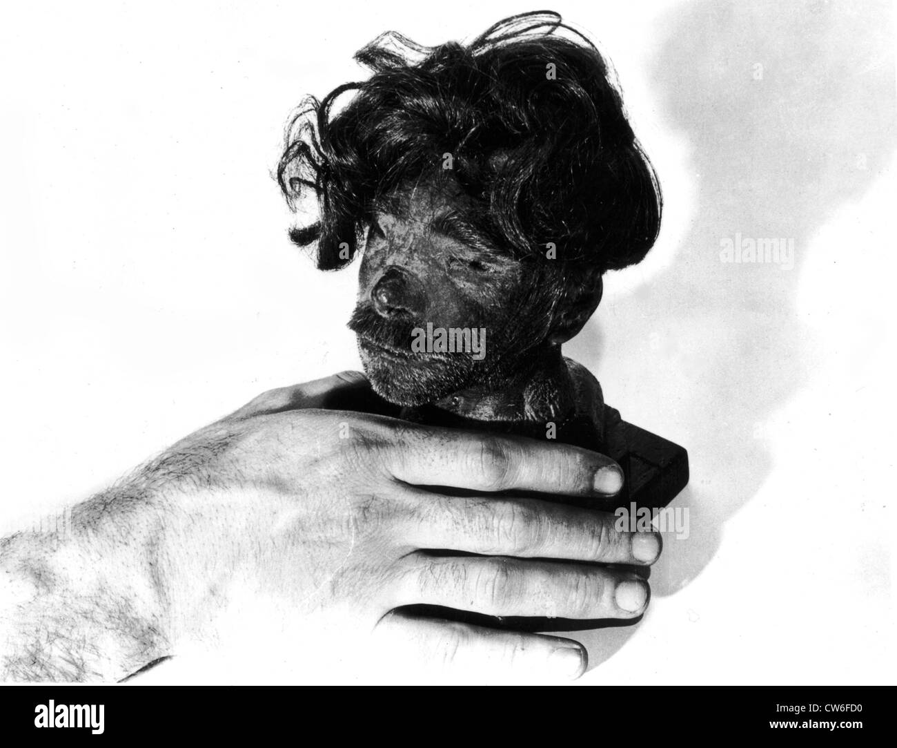 Shrunken head is intriducted an Nuremberg International Tribunal (1945). Stock Photo