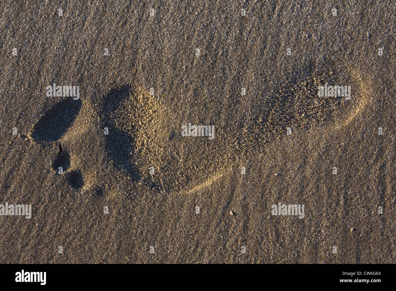 footprint in sand at a beach Stock Photo