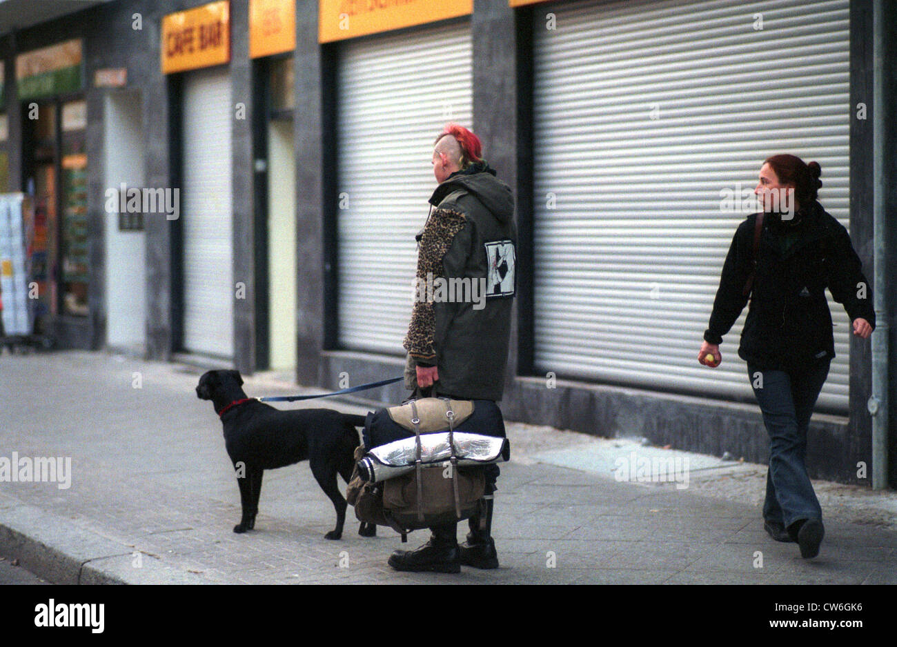 Dog fear street germany hires stock photography and images Alamy