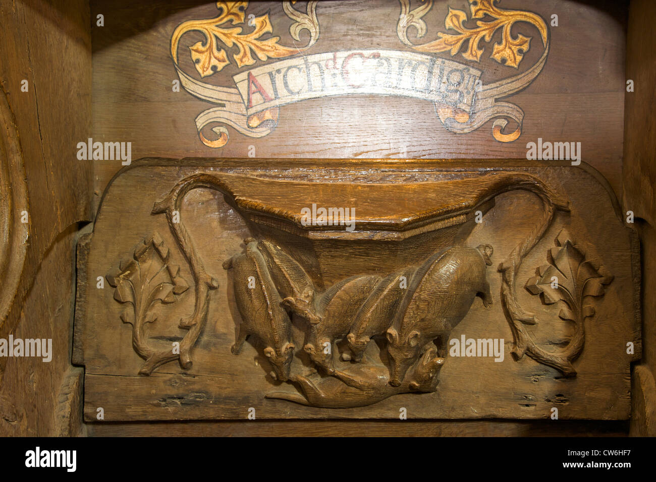 Pigs and wolf misericord, St Davids Cathedral interior,   Pembrokeshire National Park, Wales, Cymru, United Kingdom, UK, GB Stock Photo
