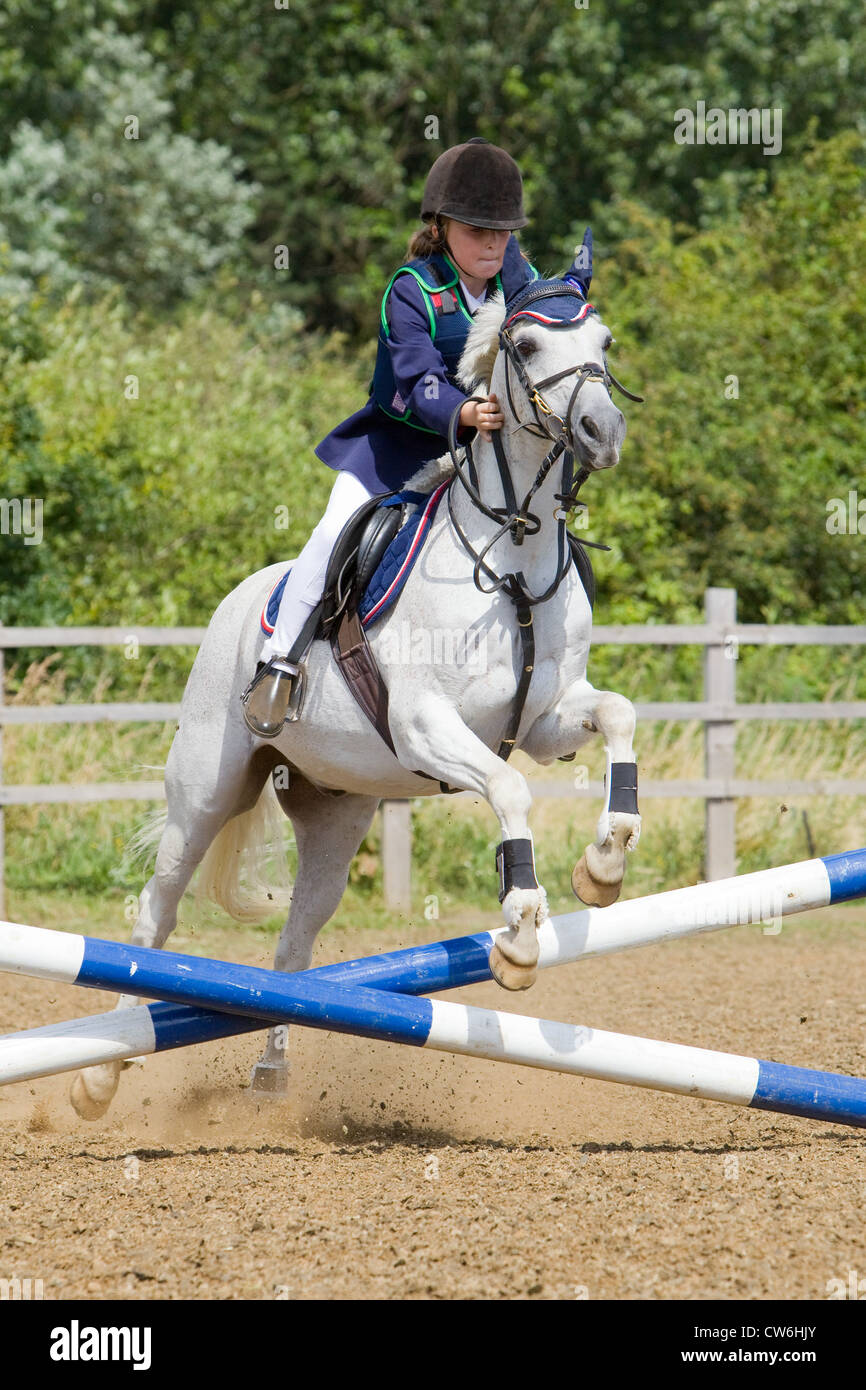 A horse and rider jumping a fence during a show jumping competition ...