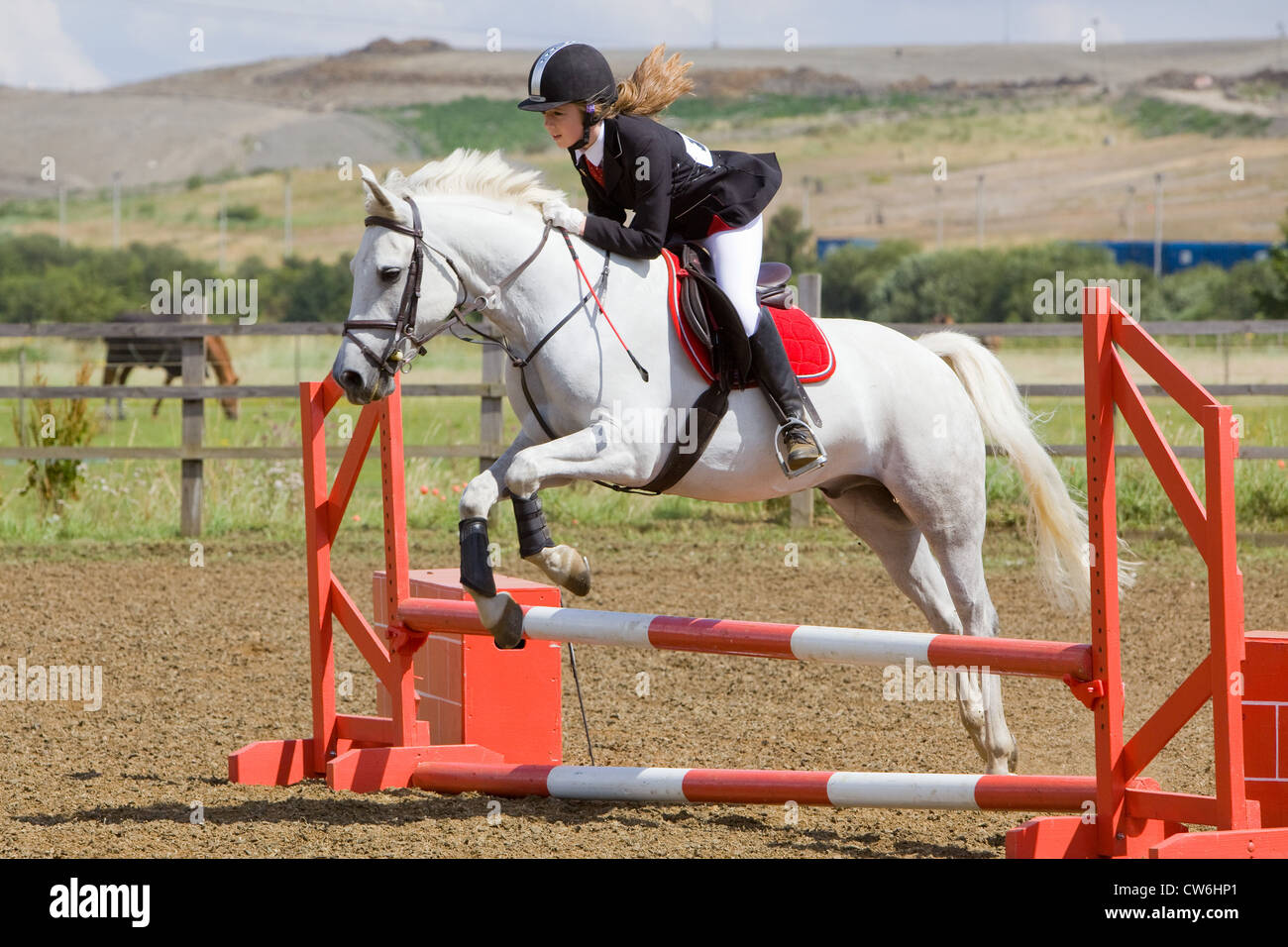 A horse and rider jumping a fence during a show jumping competition Stock Photo