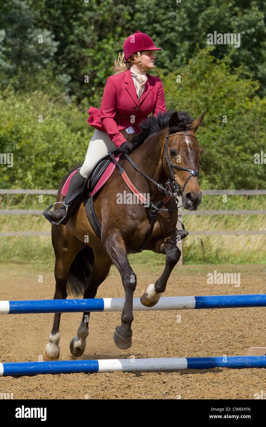 A horse and rider jumping a fence during a show jumping competition ...