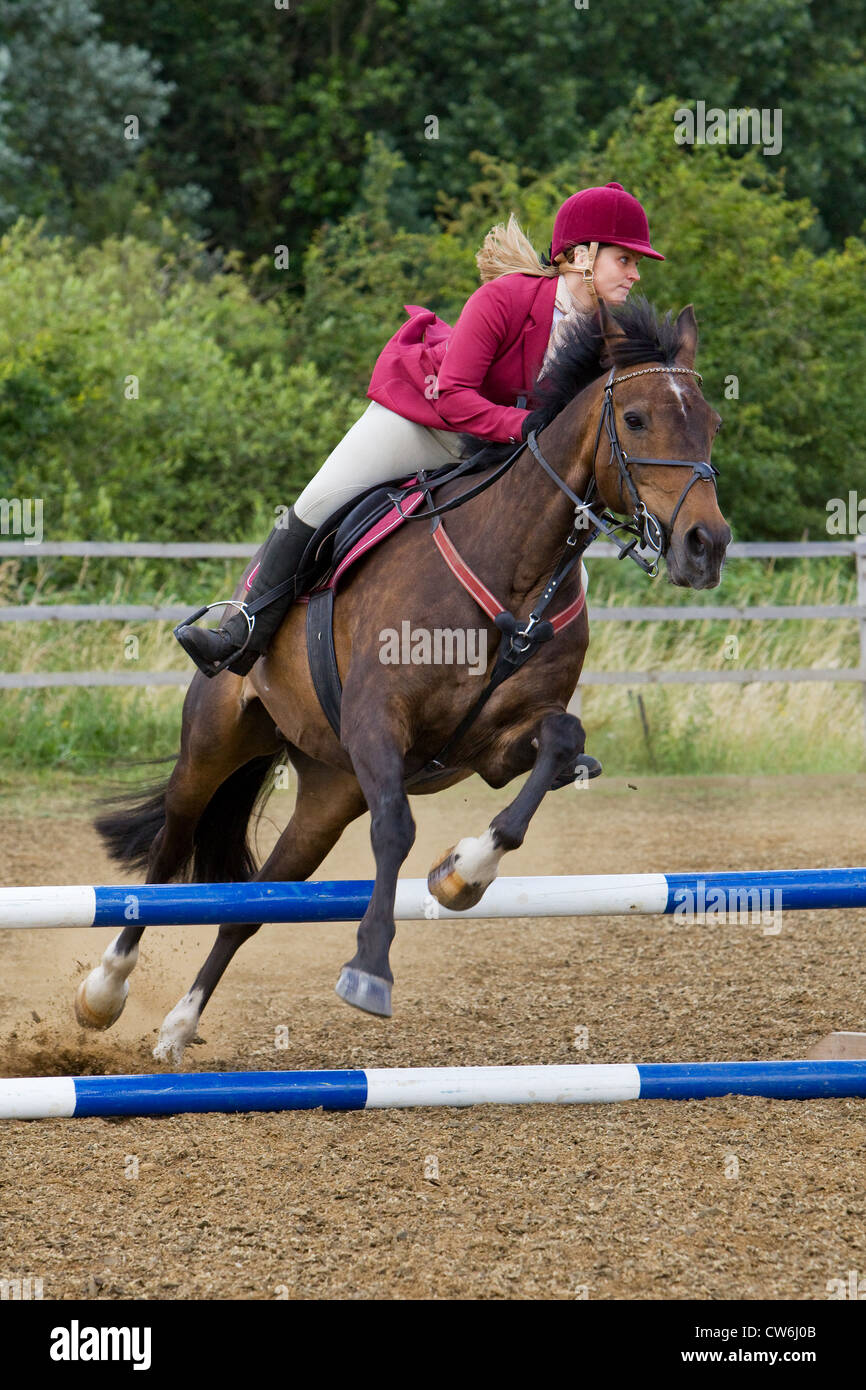 A horse and rider jumping a fence during a show jumping competition ...