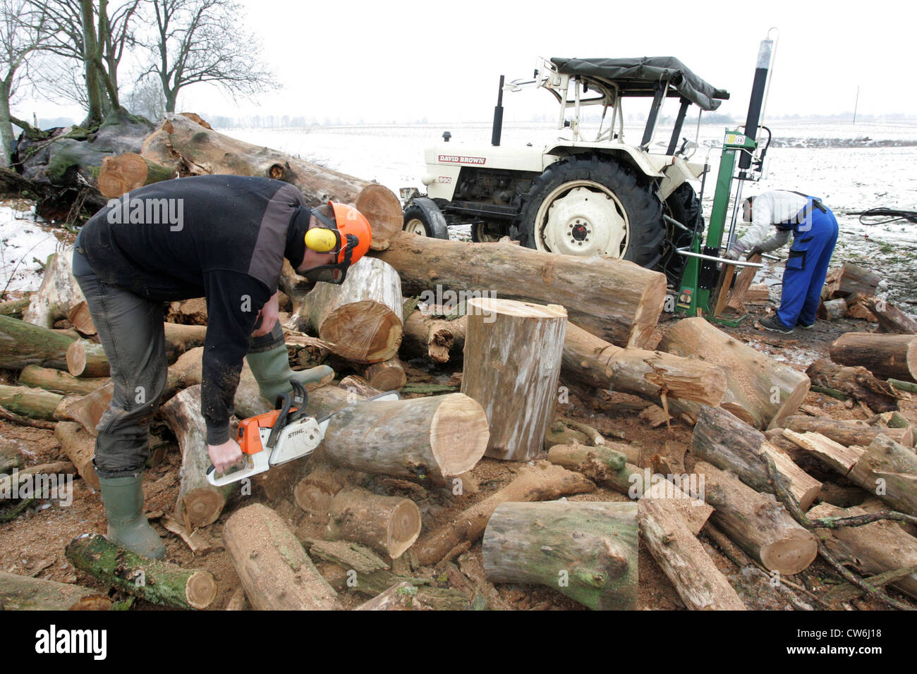 Resplendent village man sawing a tree trunk Stock Photo