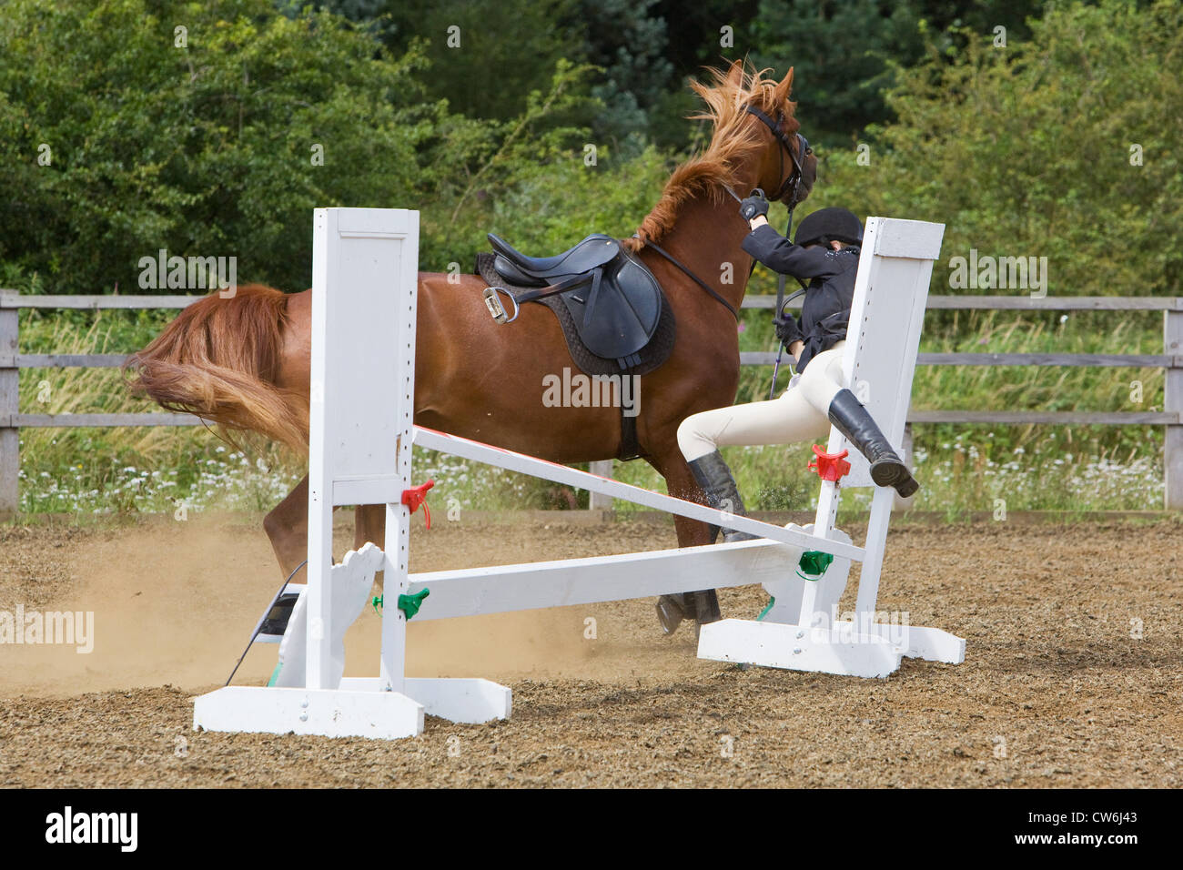 Rider falling of a horse hires stock photography and images Alamy