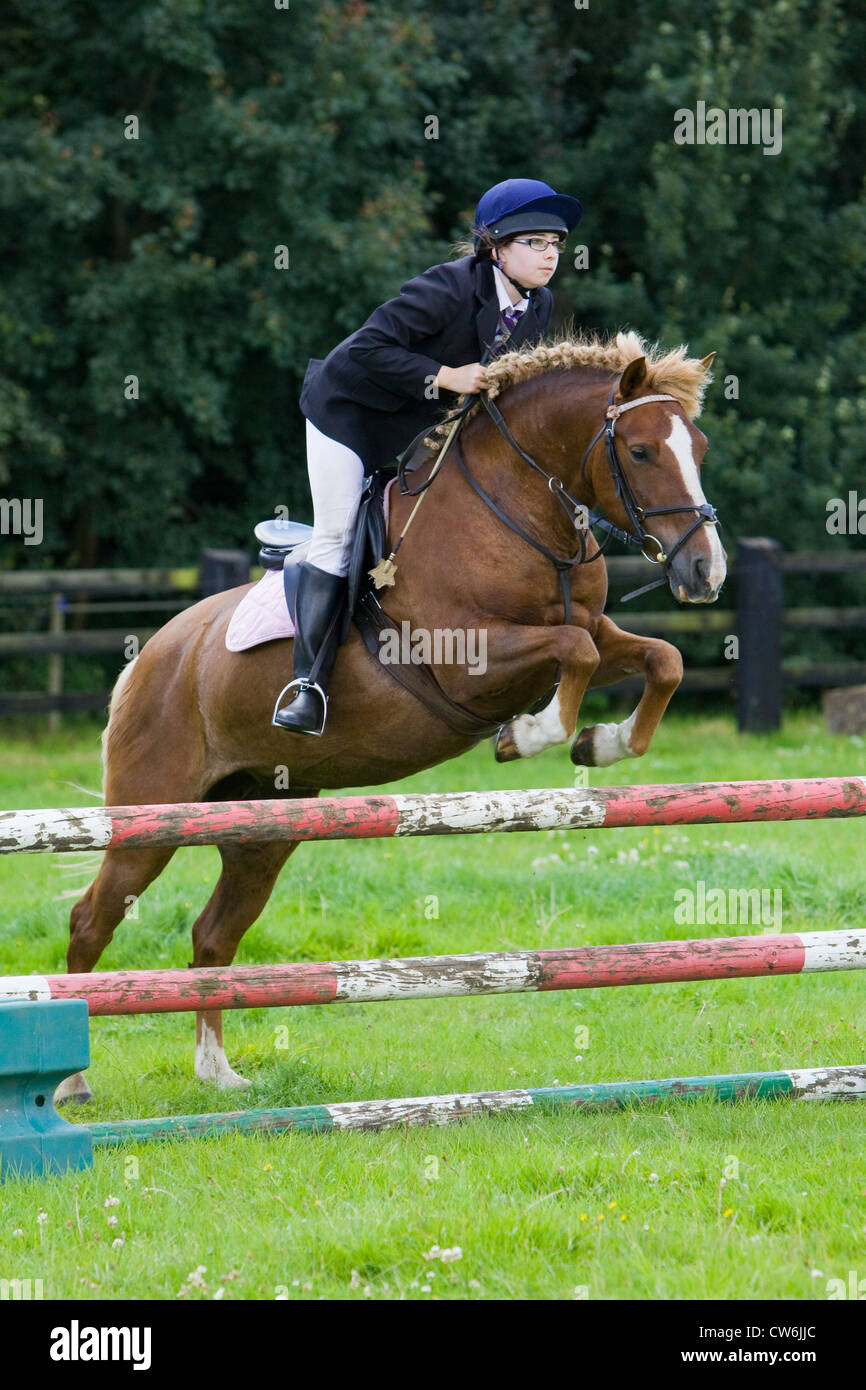 A horse and rider jumping a fence during a show jumping competition ...