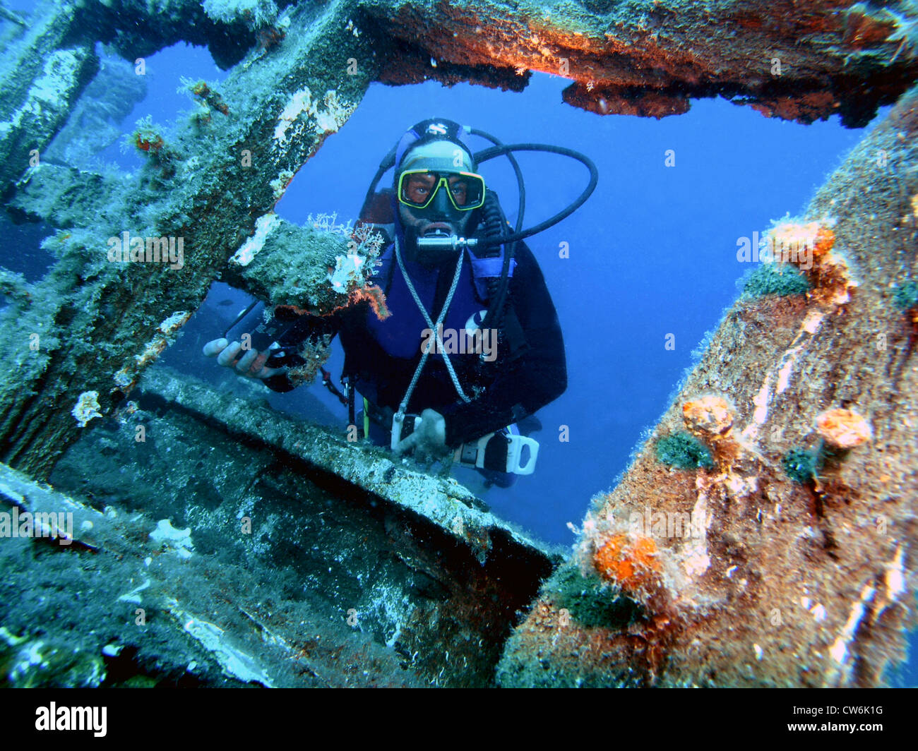 diver in a wreck, Croatia, Insel Solta Stock Photo