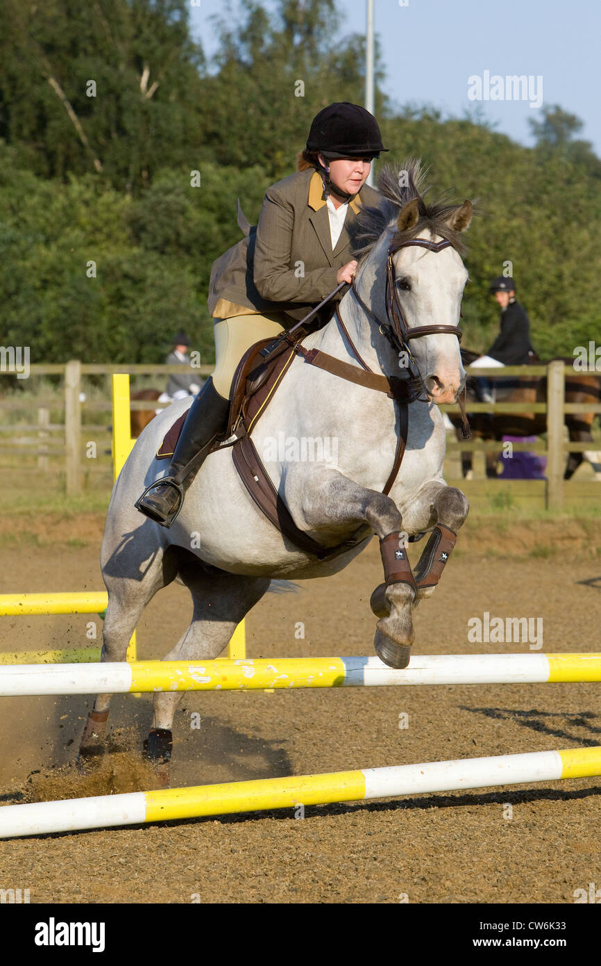 A horse and rider jumping a fence during a show jumping competition ...