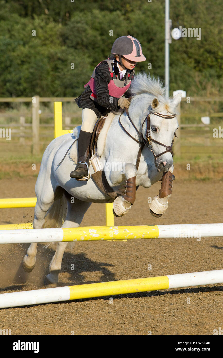 A horse and rider jumping a fence during a show jumping competition ...