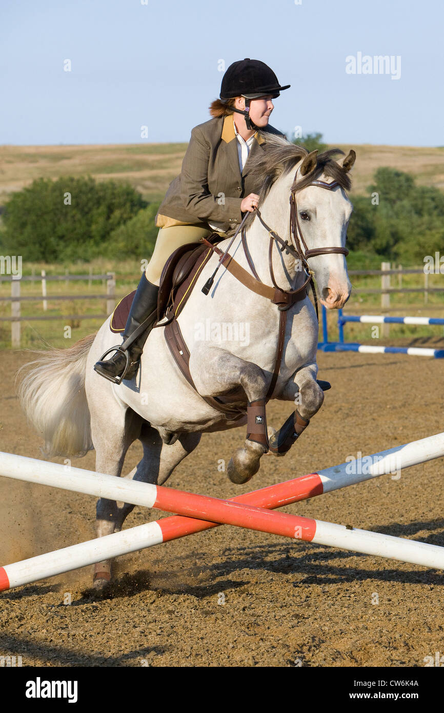 A horse and rider jumping a fence during a show jumping competition ...
