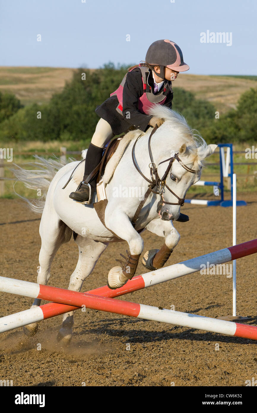 A horse and rider jumping a fence during a show jumping competition ...