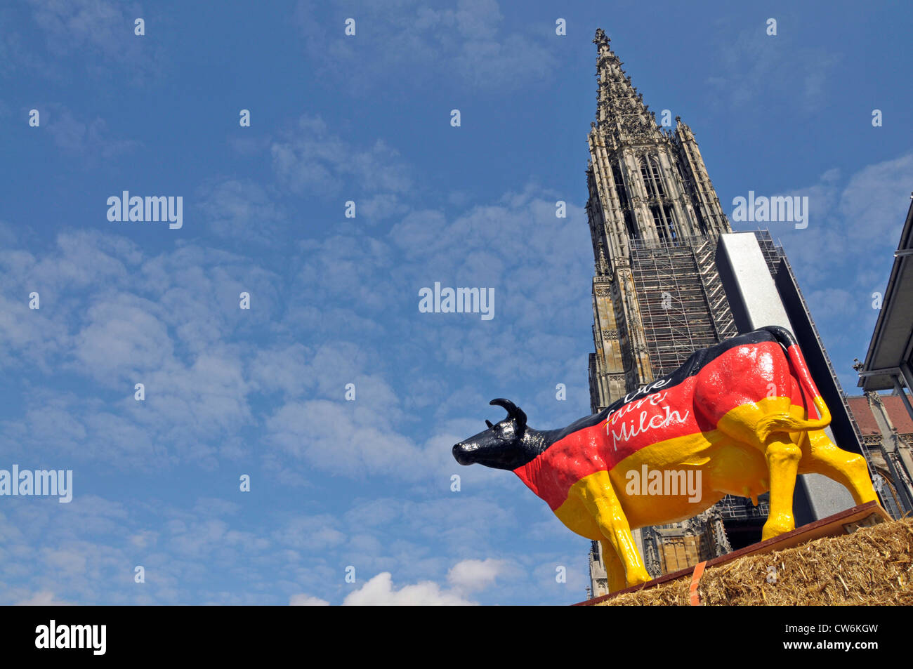 protest of dairy farmers with a artifical cow for higher milk prices, Ulmer Munster, Ulm cathedral, in the background, Germany, Baden-Wuerttemberg, Ulm Stock Photo