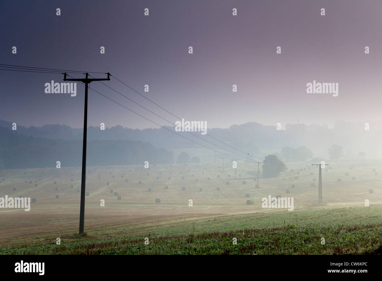 morning fog over extensive meadow with bales of straw and telephone masts, Germany, Saxony, Vogtlaendische Schweiz Stock Photo