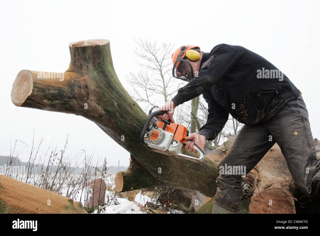 Resplendent village, a man sawing a tree trunk Stock Photo