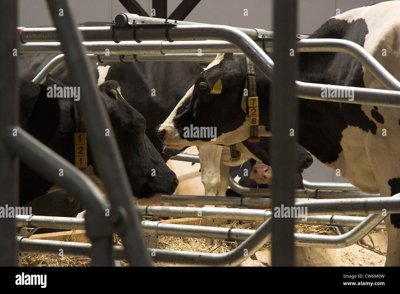 Transverse rods hi-res stock photography and images - Alamy