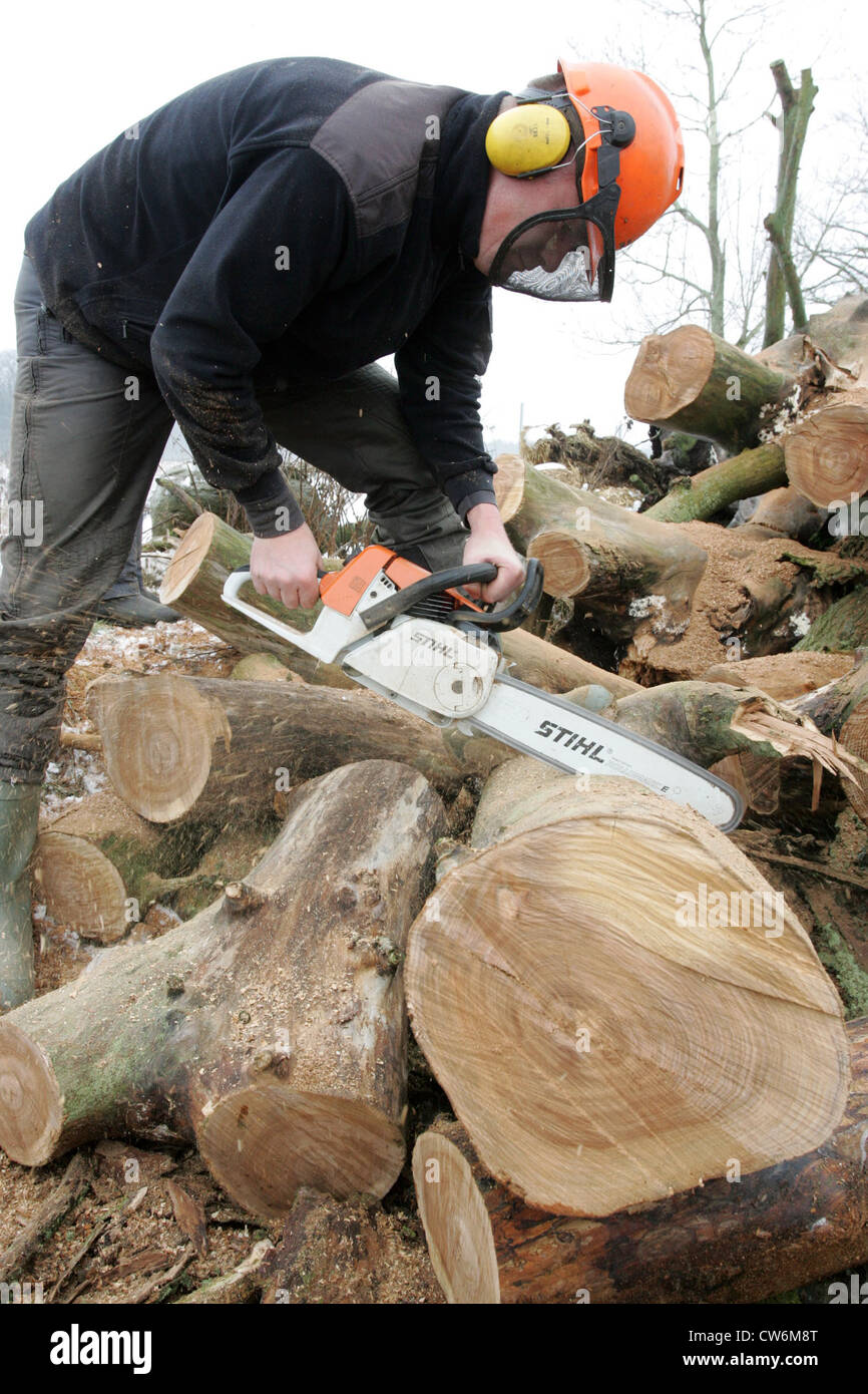 Resplendent village man sawing a tree trunk Stock Photo
