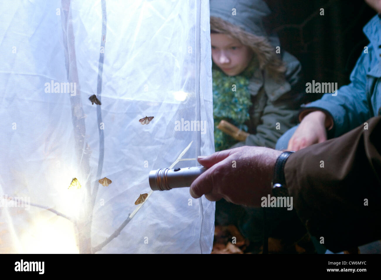 Moths light trap High Resolution Stock Photography and Images - Alamy