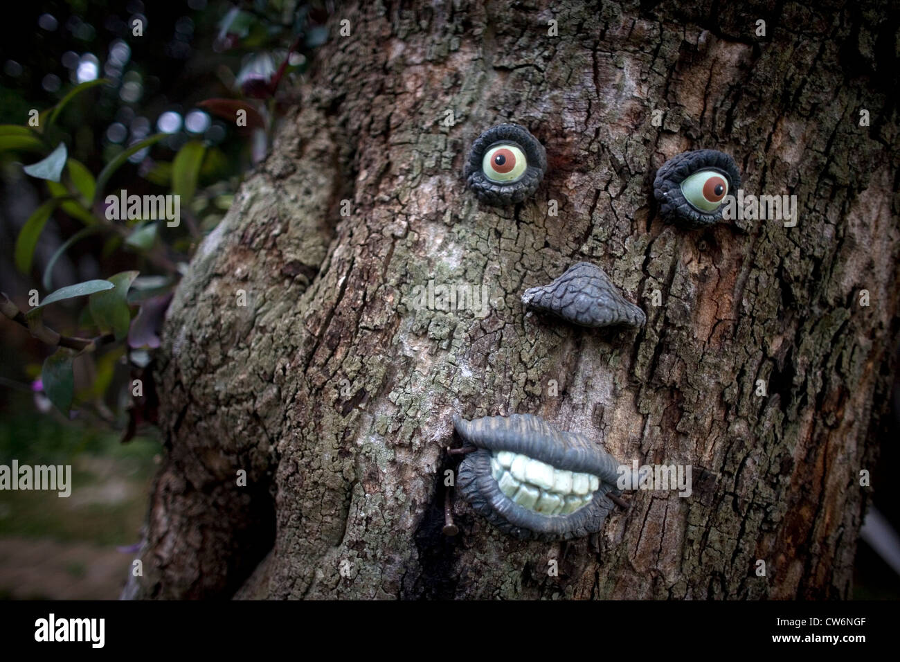 Tree trunk eyes nose mouth hires stock photography and images Alamy