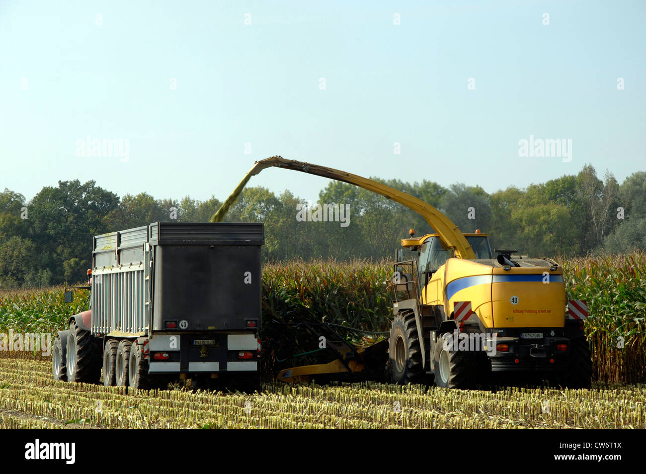 tractor harvesting corn, Germany, Bavaria Stock Photo Alamy