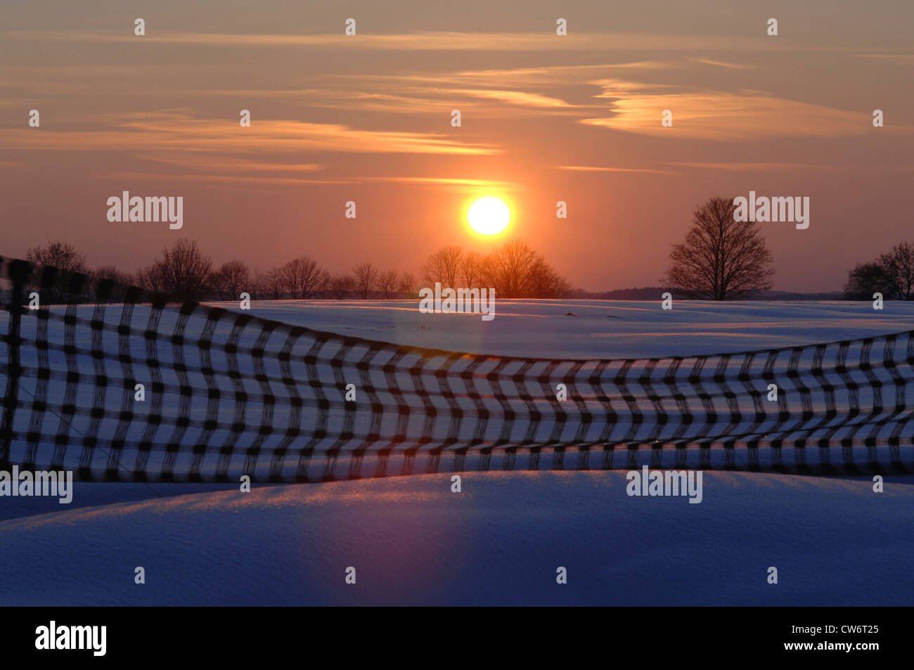 snow-covered landscape with snow fence at sunrise, Germany, Bavaria Stock Photo