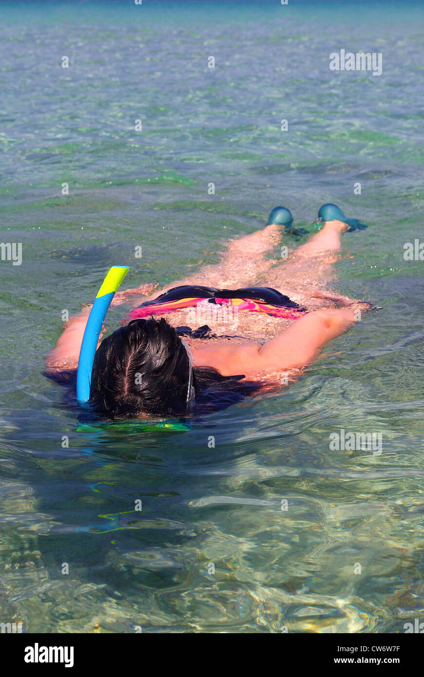 Snorkeler snorkeling hi-res stock photography and images - Alamy