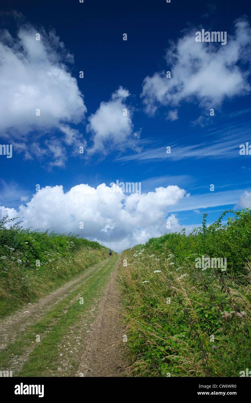The South Downs Way, Hampshire, UK Stock Photo