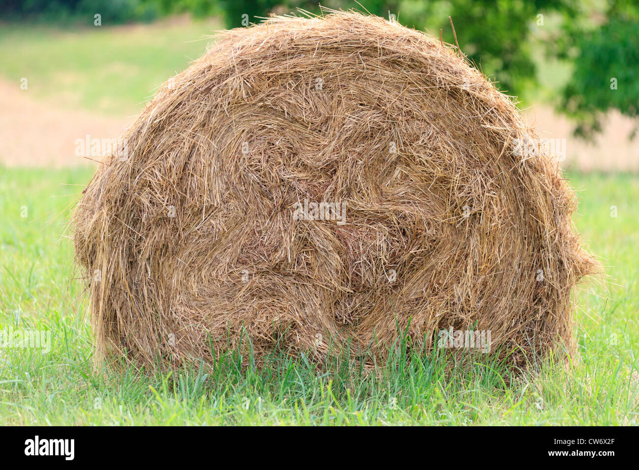 Hay bale in a french field Stock Photo Alamy